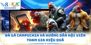 Đá Gà Campuchia O8 Và Hướng Dẫn Hội Viên Tham Gia Hiệu Quả