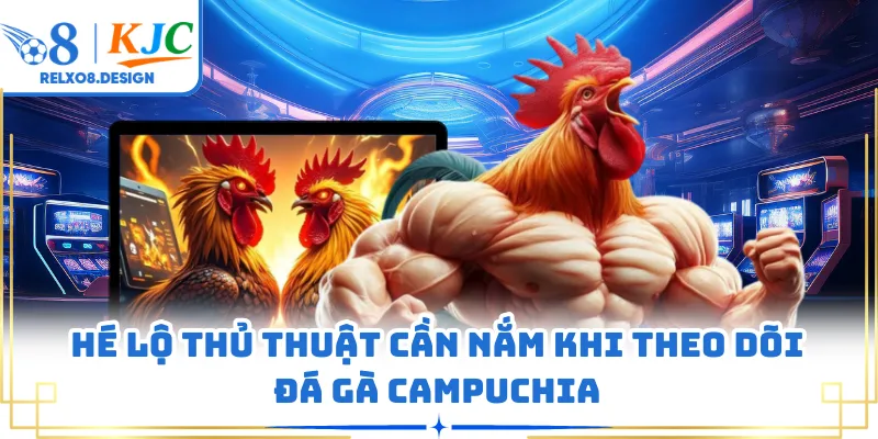 Hé lộ thủ thuật cần nắm khi theo dõi đá gà Campuchia
