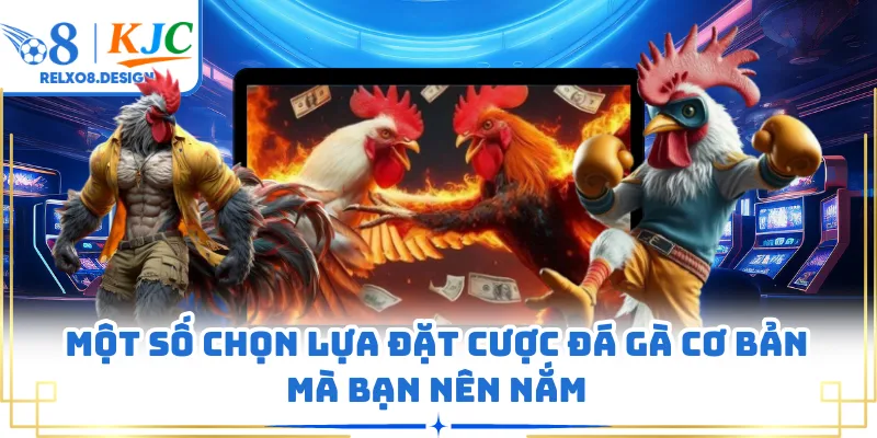 Một số chọn lựa đặt cược đá gà cơ bản mà bạn nên nắm