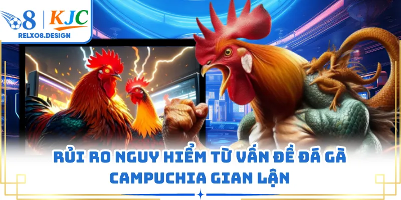 Rủi ro nguy hiểm từ vấn đề đá gà Campuchia gian lận
