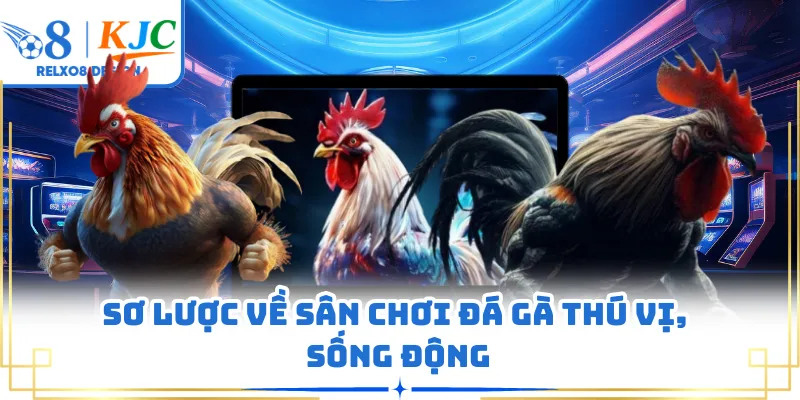 Sơ lược về sân chơi đá gà thú vị, sống động