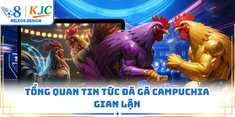 Tổng quan tin tức đá gà Campuchia gian lận