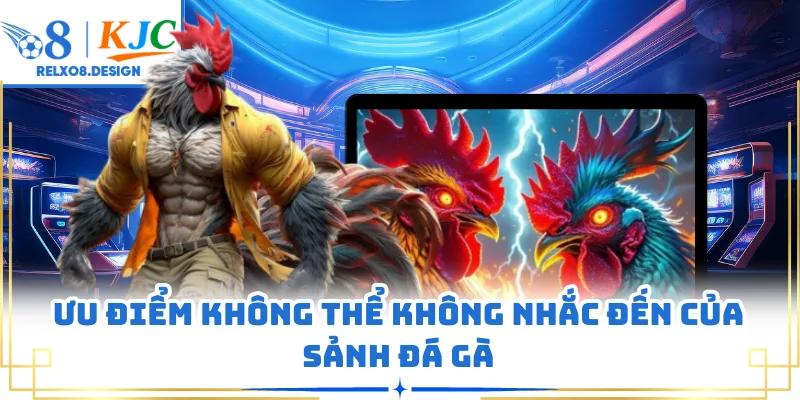 Ưu điểm không thể không nhắc đến của sảnh đá gà